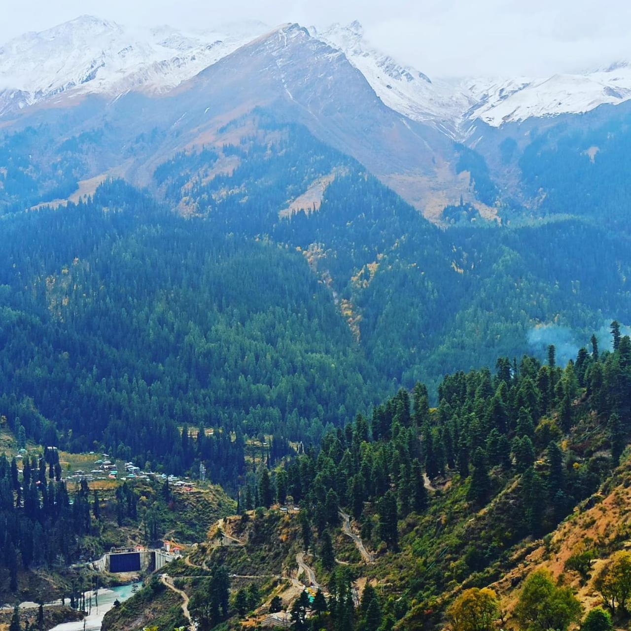 Aman Resort, Tosh Village, Himachal Pradesh Ngoại thất bức ảnh